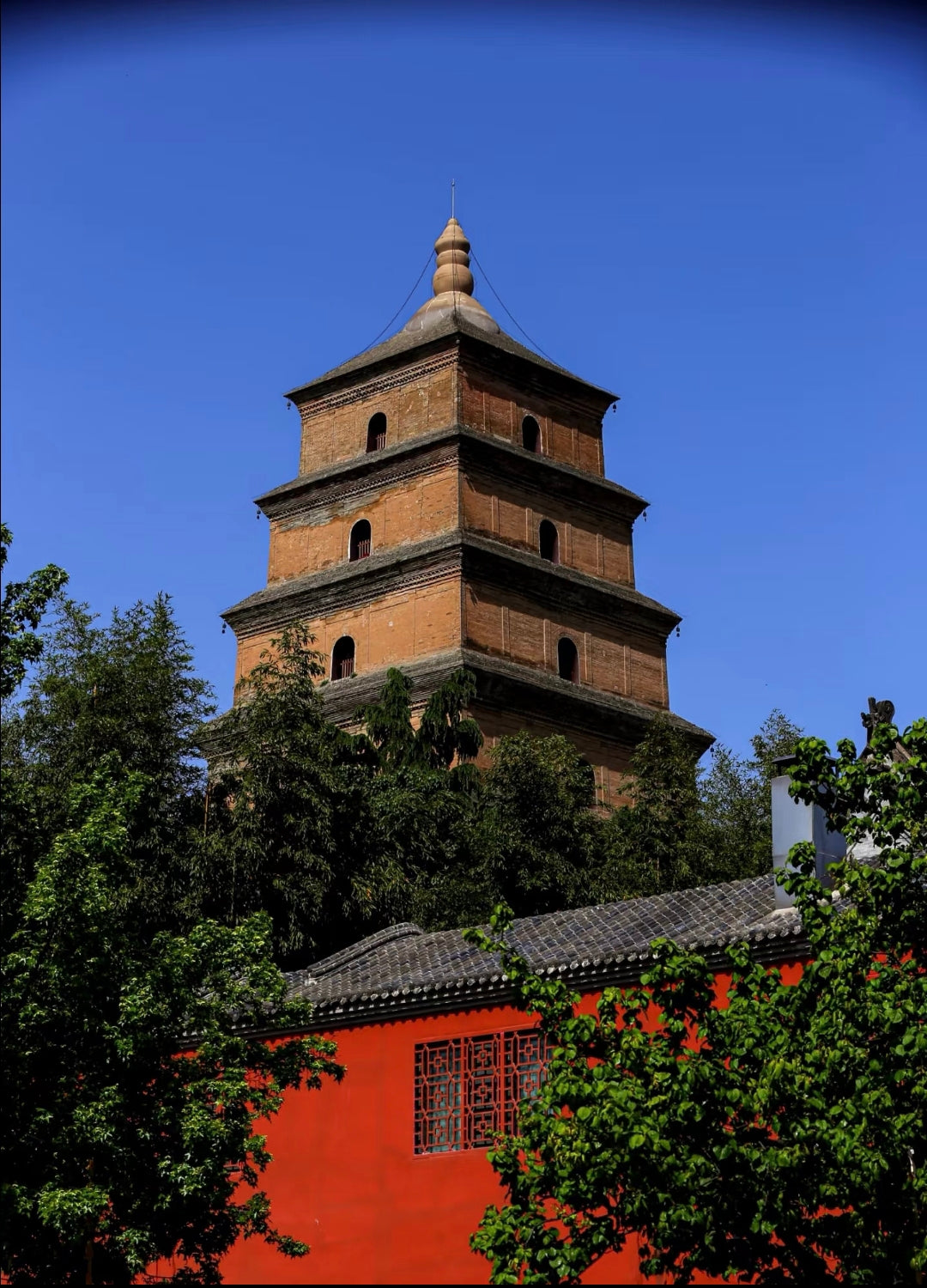 Escape Rushed Tours! Touch Shaanxi’s Soul in 4 Days